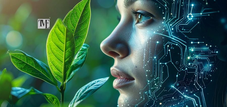 Driving Sustainability: Championing UAE Women Green Tech Consultants in 2026